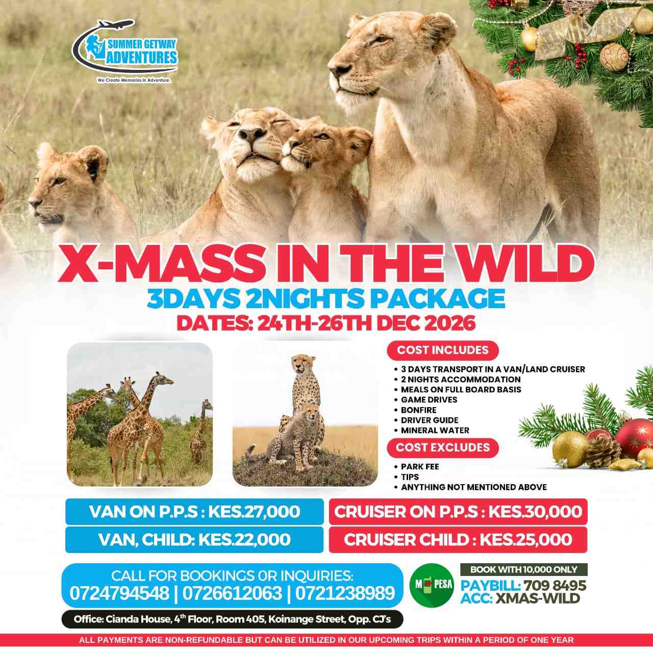 Christmas In The Wild image